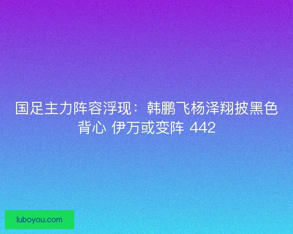 国足主力阵容浮现：韩鹏飞杨泽翔披黑色背心 伊万或变阵 442